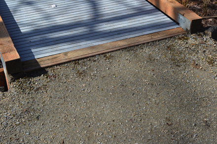 Transition from compacted gravel path to boardwalk – may have a lip depending on maintenance